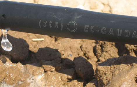 Ventajas económicas y ecológicas